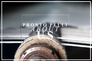 About Us || Pronto Pelli